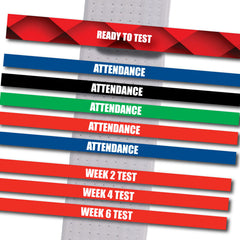 Attendance &amp; Testing BeltStripes