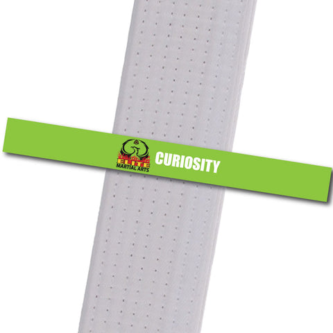 Elite MA Florida - Curiosity Custom Belt Stripes - BeltStripes.com : The #1 Source for Martial Arts Belt Tape