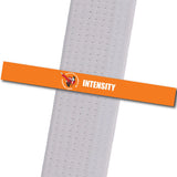 Kimling's Academy - Intensity Achievement Stripes - BeltStripes.com : The #1 Source for Martial Arts Belt Tape