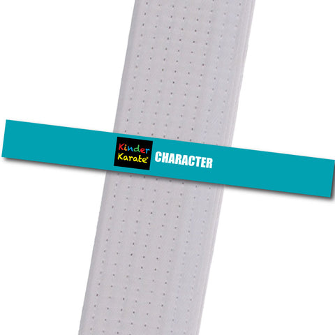 Kinder Karate - Character - Teal Custom Belt Stripes - BeltStripes.com : The #1 Source for Martial Arts Belt Tape