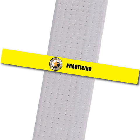 Prestige MA - Practicing Achievement Stripes - BeltStripes.com : The #1 Source for Martial Arts Belt Tape