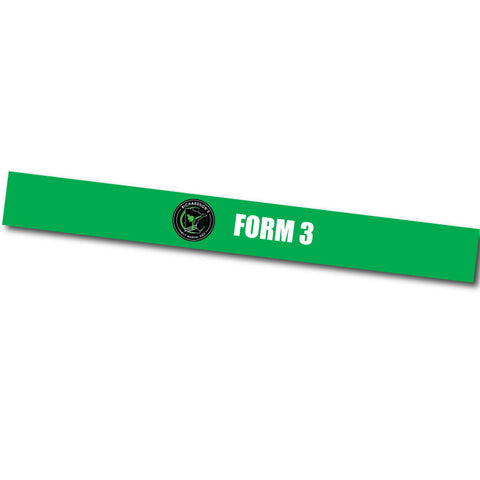 Richardson's Family MA - Form 3