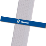 Shepherd-Warrior MA - Trimester 1 - Blue Custom Belt Stripes - BeltStripes.com : The #1 Source for Martial Arts Belt Tape