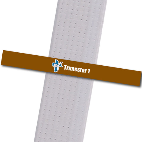 Shepherd-Warrior MA - Trimester 1 - Brown Custom Belt Stripes - BeltStripes.com : The #1 Source for Martial Arts Belt Tape