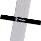 Shepherd-Warrior MA - Trimester 2 - Black Custom Belt Stripes - BeltStripes.com : The #1 Source for Martial Arts Belt Tape