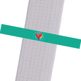 TCK Mixed Martial Arts - MAKO-Green Custom Belt Stripes - BeltStripes.com : The #1 Source for Martial Arts Belt Tape