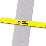 Apex MA - Great Sparring Custom Belt Stripes - BeltStripes.com : The #1 Source for Martial Arts Belt Tape