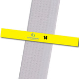 Champion TKD - 14