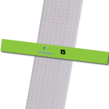 Champion TKD - 15