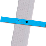 Champion TKD - 16