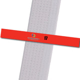 Champion TKD - 17