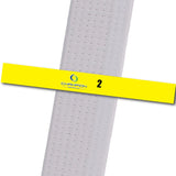 Champion TKD - 2