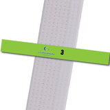 Champion TKD - 3