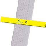 Champion TKD - 8