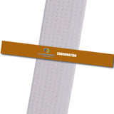 Champion TKD - Coordination
