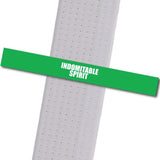 Kim's Tae Kwon Do - Indomitable Spirit Achievement Stripes - BeltStripes.com : The #1 Source for Martial Arts Belt Tape