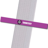 Master Curry MA - Courtesy Achievement Stripes - BeltStripes.com : The #1 Source for Martial Arts Belt Tape