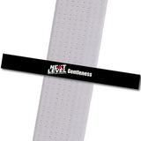 Next Level MA - Gentleness Achievement Stripes - BeltStripes.com : The #1 Source for Martial Arts Belt Tape