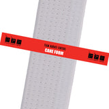 Team Karate Centers - Cane Form Custom Belt Stripes - BeltStripes.com : The #1 Source for Martial Arts Belt Tape