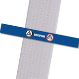 Top Level Martial Arts - Discipline Custom Belt Stripes - BeltStripes.com : The #1 Source for Martial Arts Belt Tape
