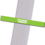 Villari's MA - Outstanding Character Custom Belt Stripes - BeltStripes.com : The #1 Source for Martial Arts Belt Tape
